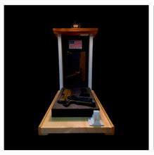 Load image into Gallery viewer, Farmhouse Gun Concealment Lamp