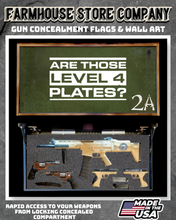 Load image into Gallery viewer, Gun Concealment Flag Deluxe Wall Art BATTLE-WORN OD GREEN 2A Level 4 Plates Design