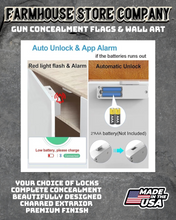 Load image into Gallery viewer, Gun Concealment Flag Deluxe Handgun Wall Art BATTLE-WORN OD GREEN Army Ranger Design
